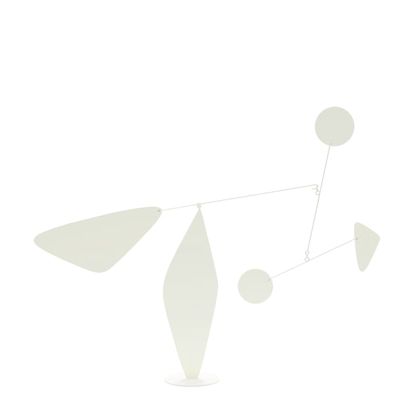 CALVIWHITEBACKGROUND_600x600.